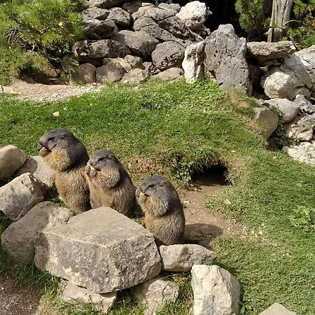 Ferienwohnung Maria-Wies Schönau am Königssee 外观 照片