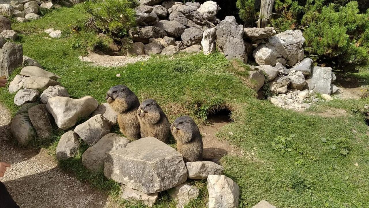 Ferienwohnung Maria-Wies Schönau am Königssee 外观 照片